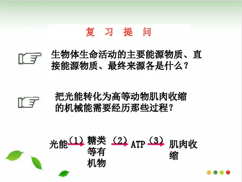 人教高中生物必修课件：ATP的主要来源细胞呼吸PPT