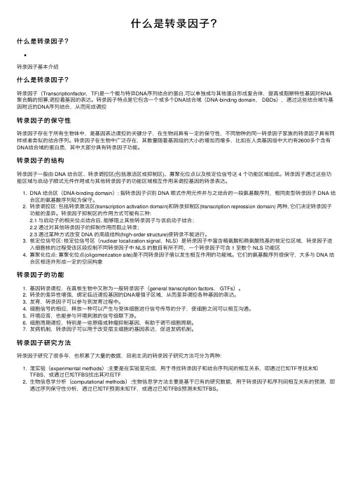 什么是转录因子？