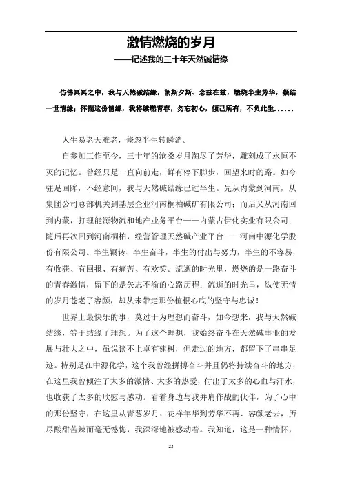 激情燃烧的岁月(定稿)
