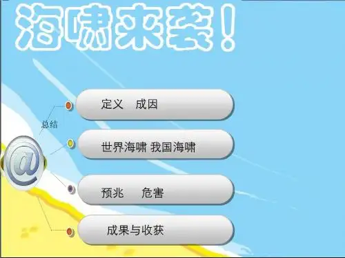 海啸PPT