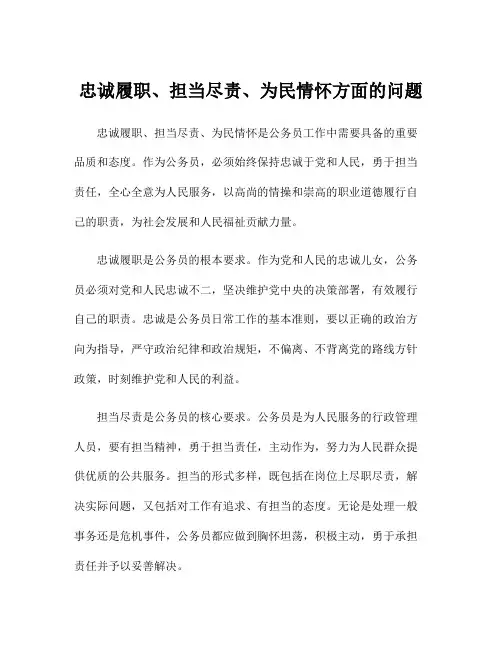 忠诚履职、担当尽责、为民情怀方面的问题