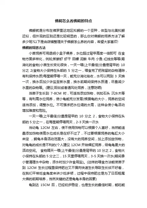 佛鳄怎么养佛鳄的特点