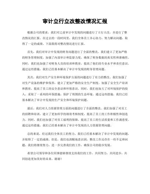 审计立行立改整改情况汇报