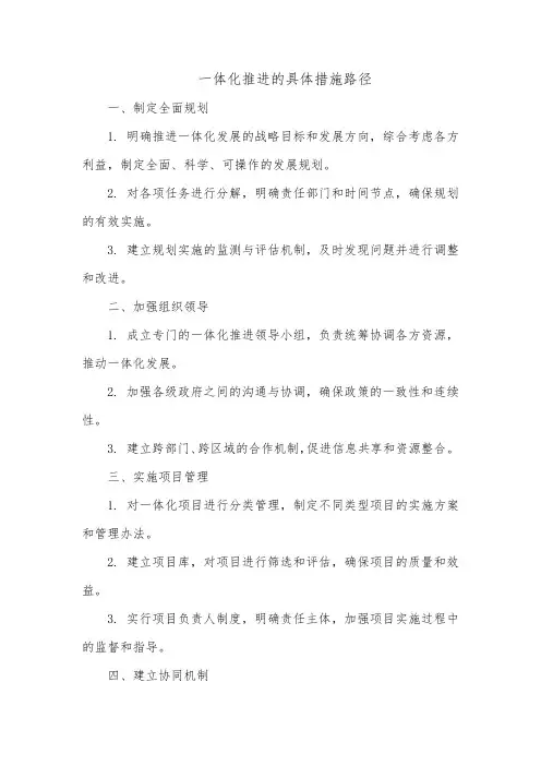 一体化推进的具体措施路径