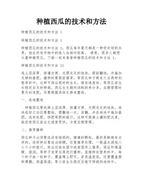 种植西瓜的技术和方法