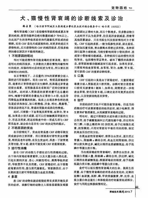 犬、猫慢性肾衰竭的诊断线索及诊治