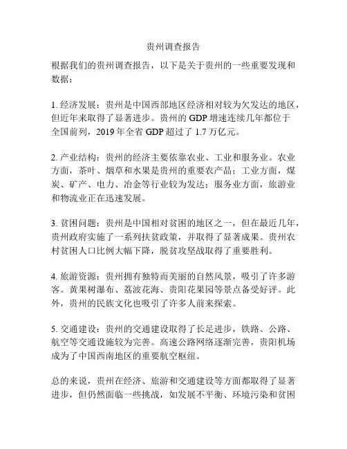 贵州调查报告