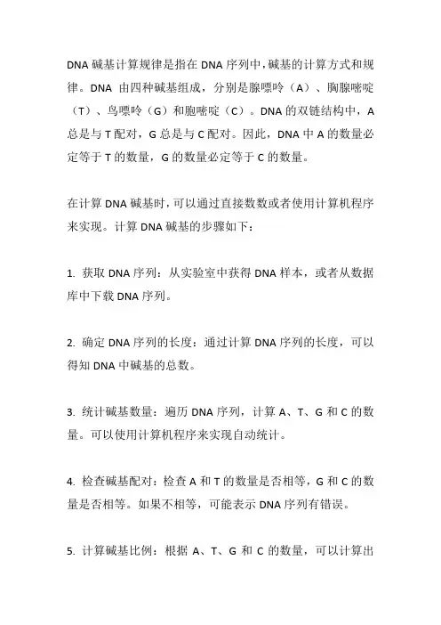 dna碱基计算规律