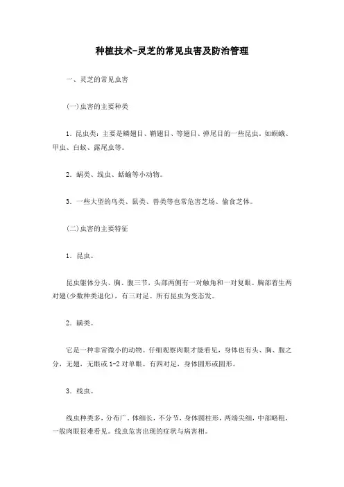 种植技术-灵芝的常见虫害及防治管理