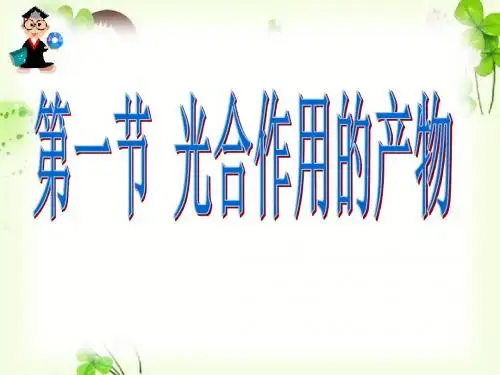 第一节_光合作用的产物(39张PPT)