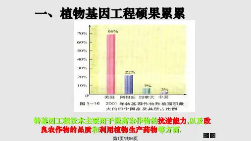 _基因工程的应用pptPPT课件