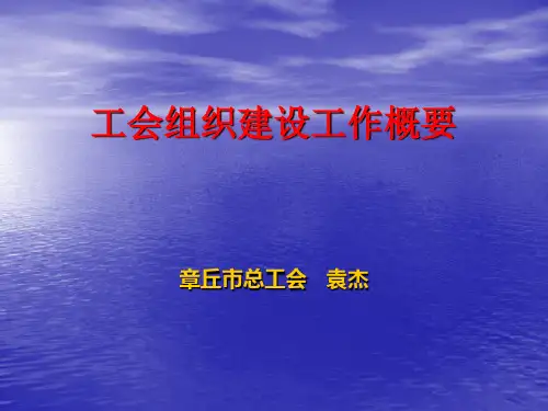 工会组织建设工作概要汇总