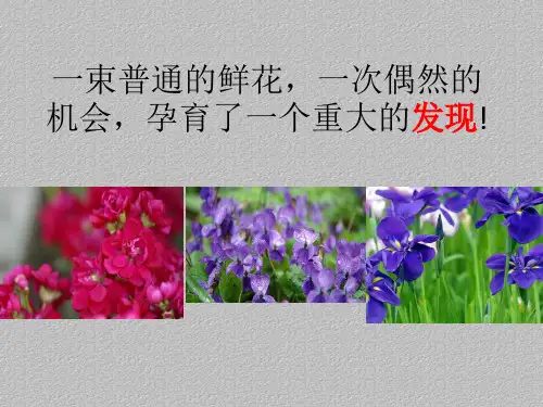 沪教上海版九年级化学上册 3.3溶液的酸碱性最新课件PPT