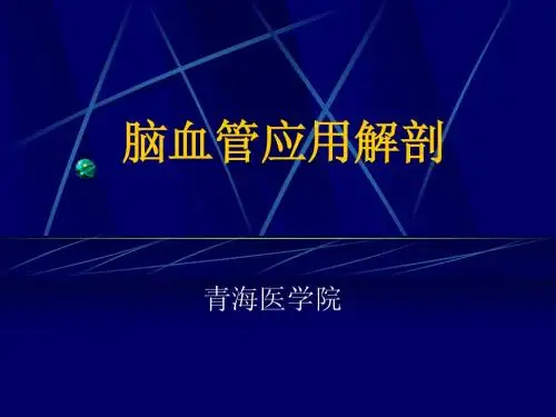 脑血管