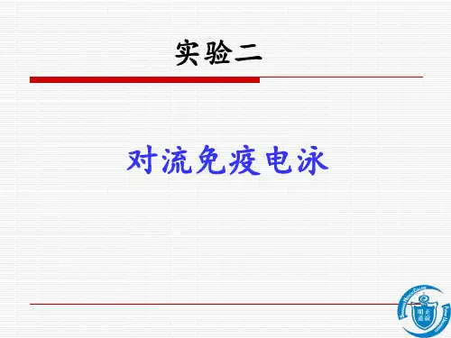 医学免疫学实验二 对流免疫电泳