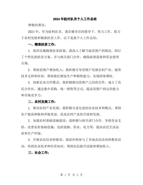 2024年驻村队员个人工作总结