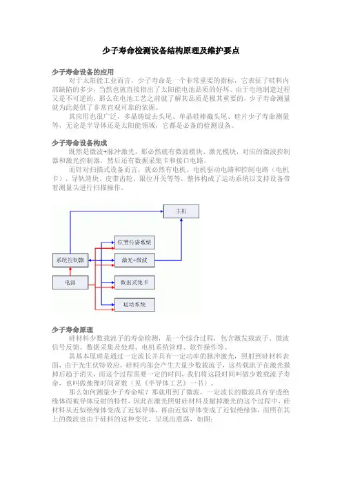 少子寿命原理