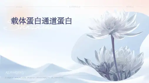 载体蛋白通道蛋白