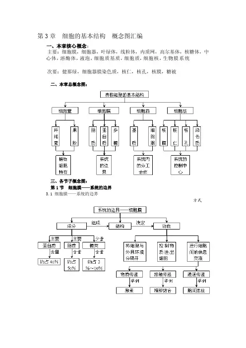 高中生物必修二第三章知识框架图[详细讲解]