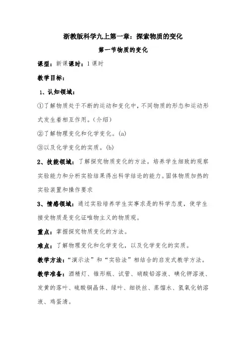 物质的变化-教学设计公开课