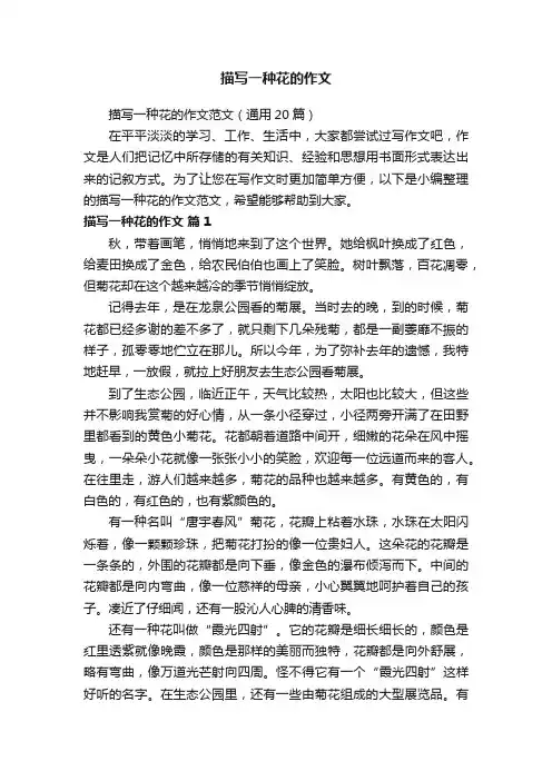 描写一种花的作文范文（通用20篇）
