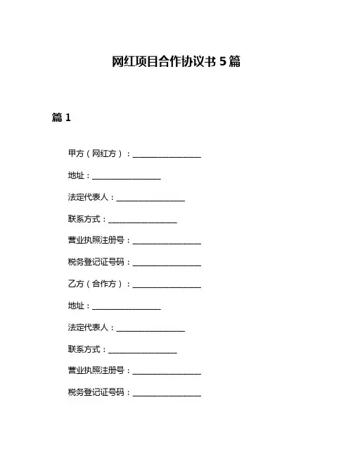 网红项目合作协议书5篇