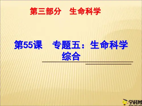 浙江省绍兴市浙教版科学九年级中考复习课件：第55课专题五：生命科学综合(共29张PPT)