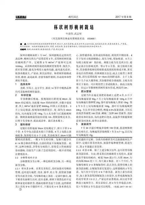 杯状树形桃树栽培