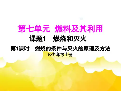 人教版九年级化学上册课件第七单元燃料及其利用 PPT课件全套