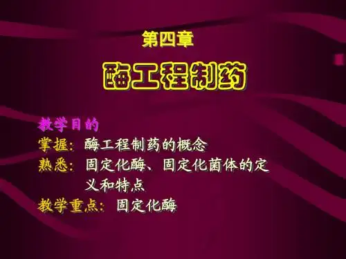 酶工程制药