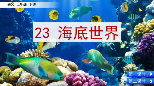 部编版三年级语文下册第23课《海底世界》精美PPT课件