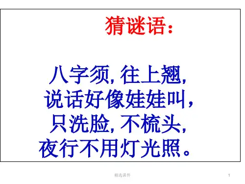 郑振铎《猫》ppt课件(实用)