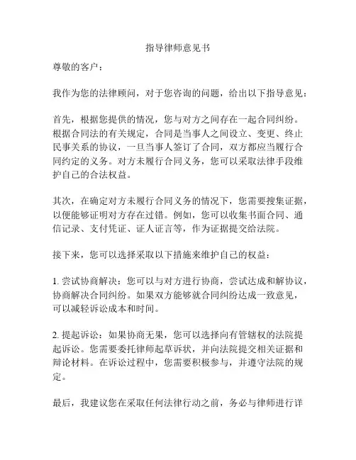指导律师意见书