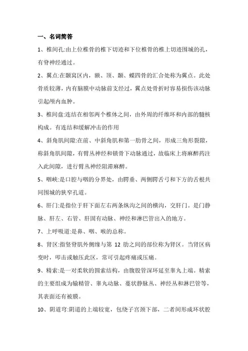 解剖期末考试复习题(1)