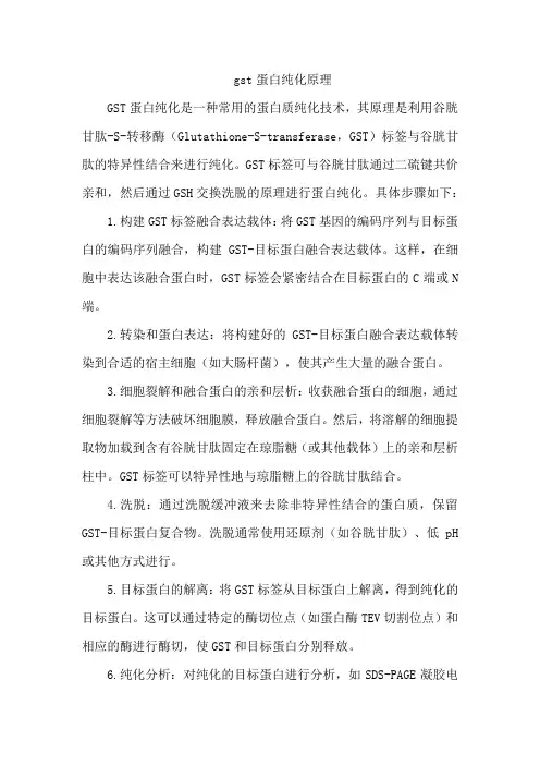gst蛋白纯化原理