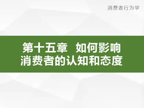 第15章 如何影响消费者的认知和态度消费者行为学导论卢泰宏