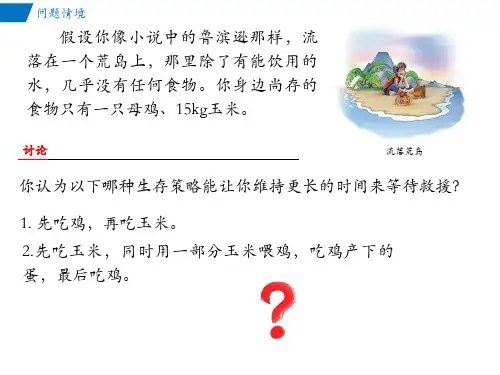 3.2生态系统的能量流动课件高二上学期生物人教版选择性必修2