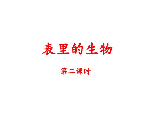 部编版六年级语文下册课件：表里的生物(第二课时)