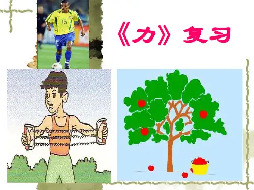 教科版八年级下册物理：《力》复习 课件 (共26张PPT) (1)