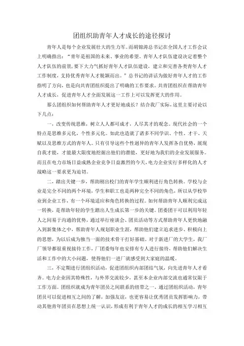 团组织助青年人才成长的途径探讨