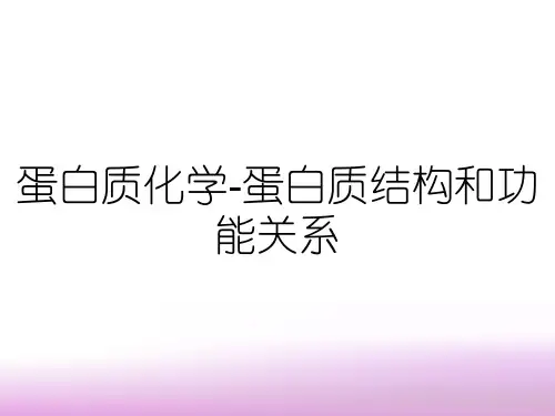 蛋白质化学-蛋白质结构和功能关系