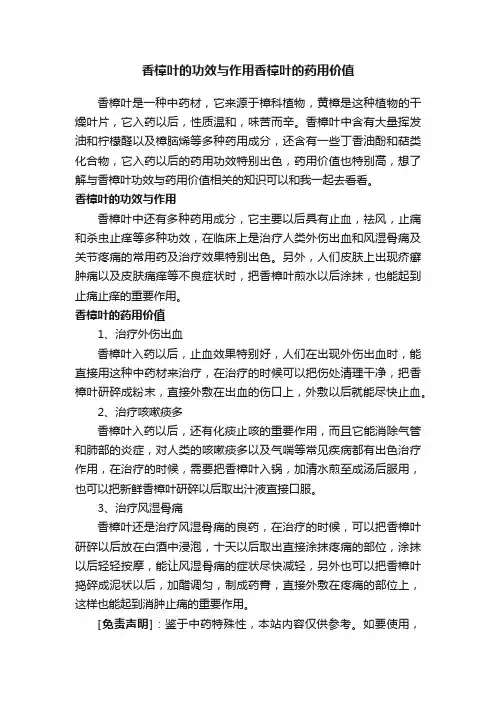 香樟叶的功效与作用香樟叶的药用价值