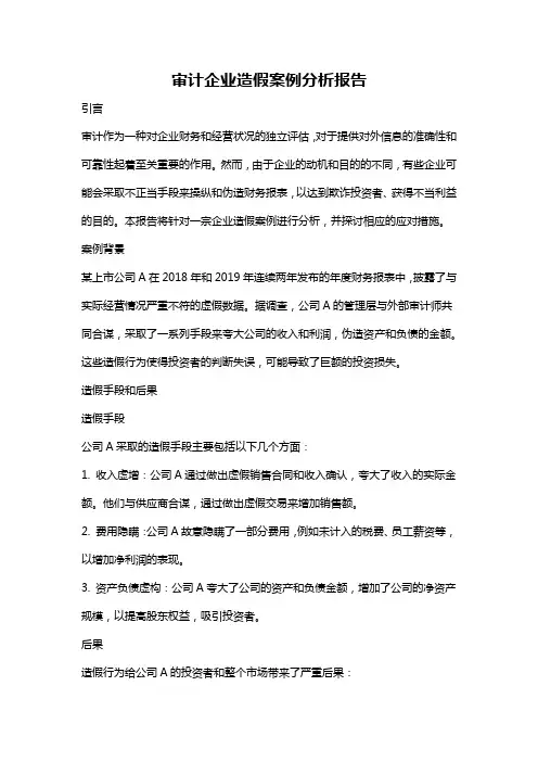 审计企业造假案例分析报告