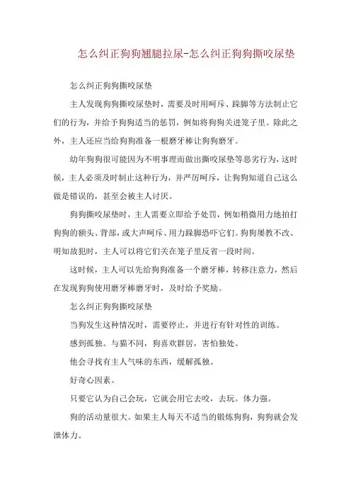 怎么纠正狗狗翘腿拉尿-怎么纠正狗狗撕咬尿垫