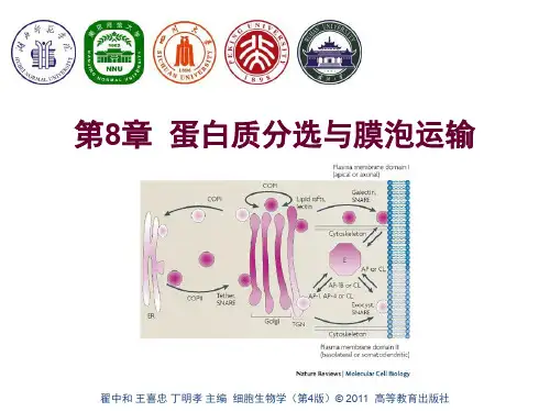 第8章--蛋白质分选与膜泡运输 (1)