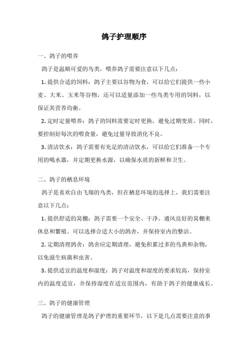 鸽子护理顺序
