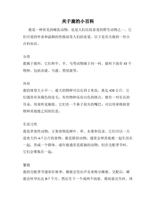 关于鹿的小百科