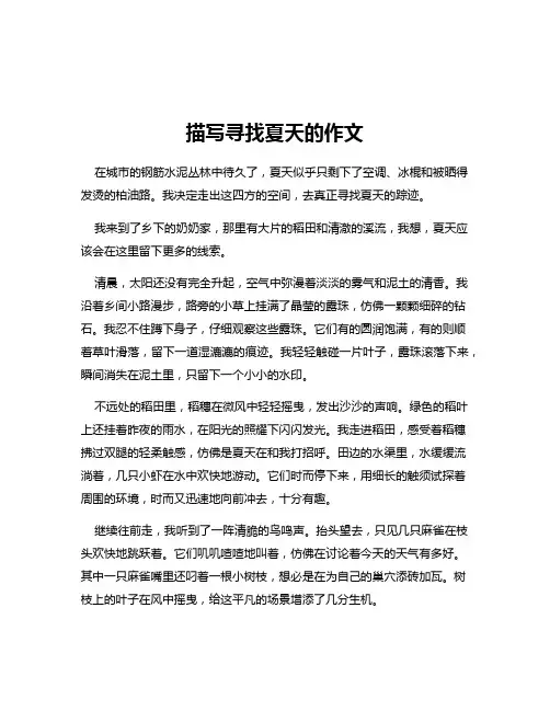 描写寻找夏天的作文