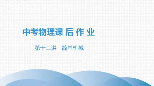 2020中考物理--课后作业   第12讲简单机械