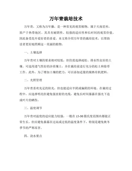 万年青栽培技术